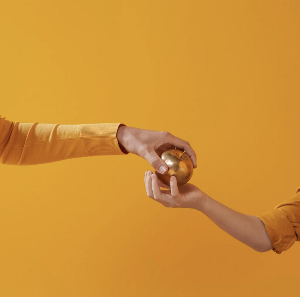 Foto campagne Brand New Day