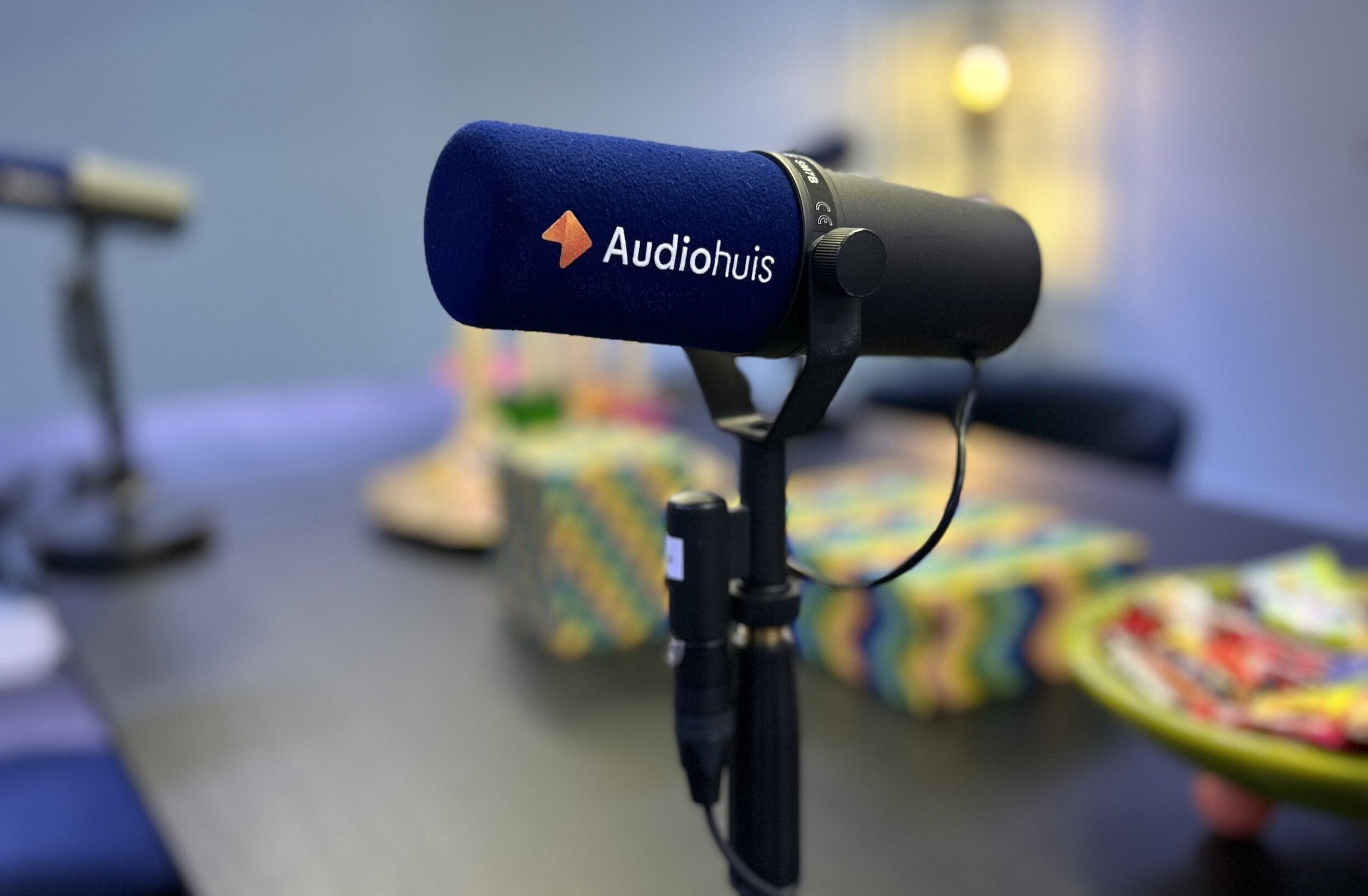 audiohuis mic